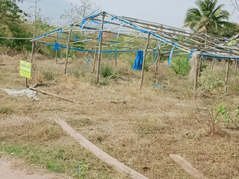 ขายที่ดินเปล่า บ้านโนนศิลา ถมแล้ว ตหนองข่า อเกษตรสมบูรณ์ จชัยภูมิ