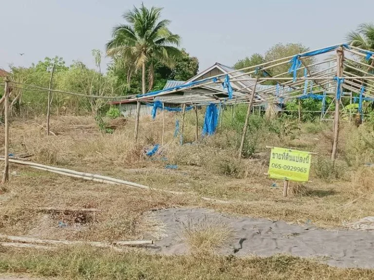 ขายที่ดินเปล่า บ้านโนนศิลา ถมแล้ว ตหนองข่า อเกษตรสมบูรณ์ จชัยภูมิ