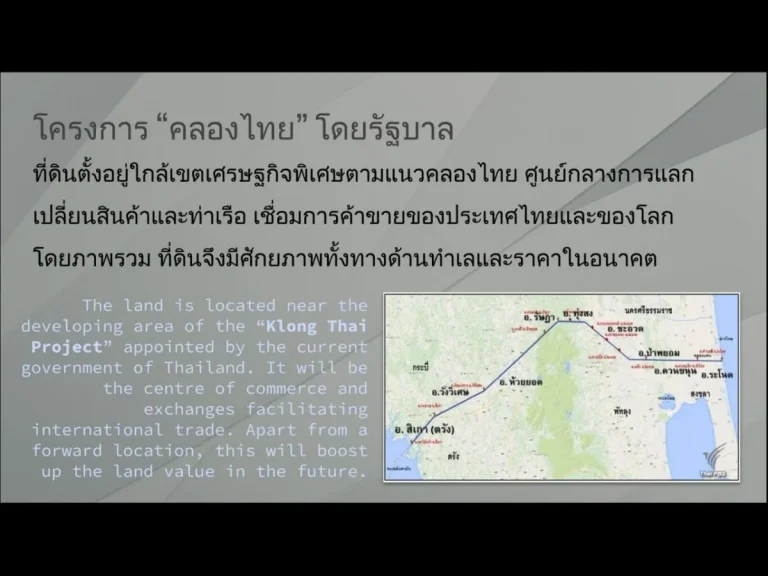 ขายถูก สวนปาล์ม21ไร่ กำลังให้ผลผลิต ตำบลนาโต๊ะหมิง จังหวัดตรัง ทำเลดี