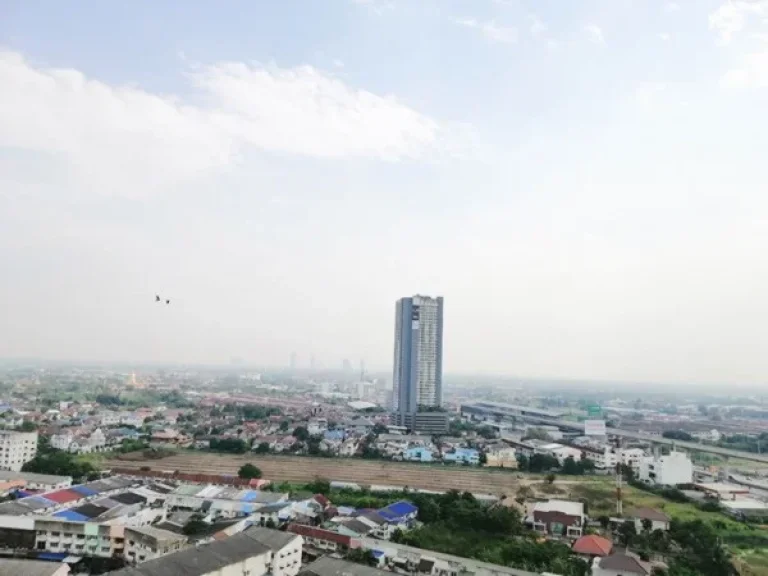 ให้เช่า Plum Condo Central Station เฟส 1 ทิศตะวันออก ID8576772