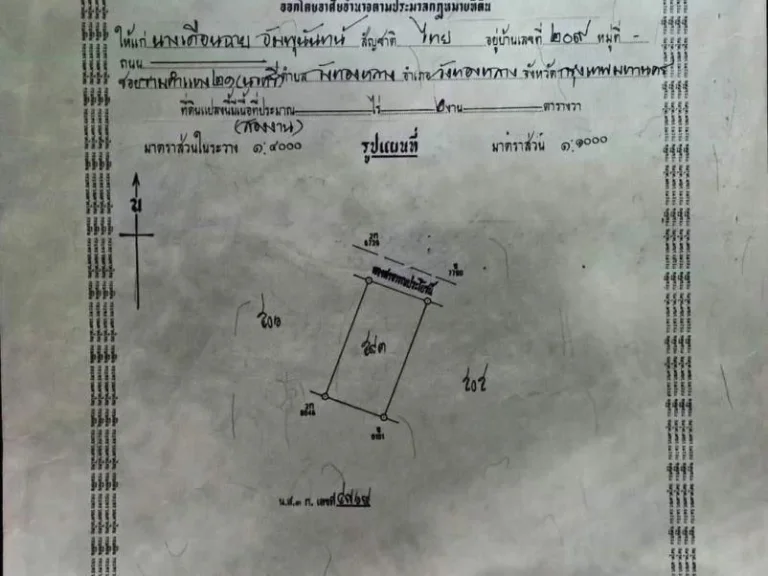 ขายด่วน ที่ดินเพื่อสร้างบ้านหรือเก็งกำไร อเมืองลำพูน ฟรีค่าโอน