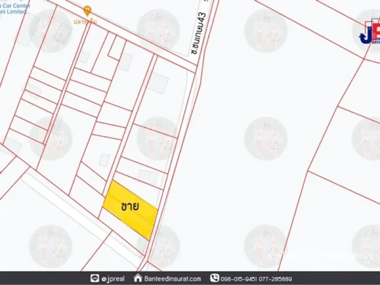 ขาย ที่ดินเปล่า 200 ตรว ซชนเกษม43 สุราษฎร์ธานี ติดถนนลาดยาง เหมาะสร้างบ้าน ใกล้มราชภัฎ 10 นาที