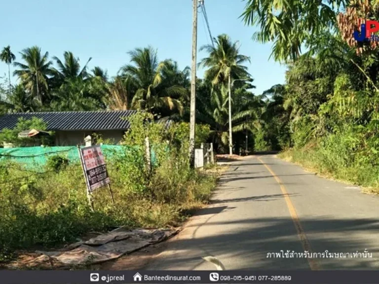 ขาย ที่ดินเปล่า 200 ตรว ซชนเกษม43 สุราษฎร์ธานี ติดถนนลาดยาง เหมาะสร้างบ้าน ใกล้มราชภัฎ 10 นาที