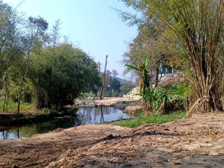 ขายที่ดินติดธารน้ำ ห่างถนนหลัก 300เมตร ดอยสะเก็ต