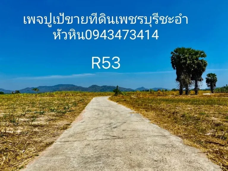 ขายที่ดิน 1 ไร่ จังหวัดประจวบคีรีขันธ์ อำเภอหัวหิน ตำบลหินเหล็กไฟ