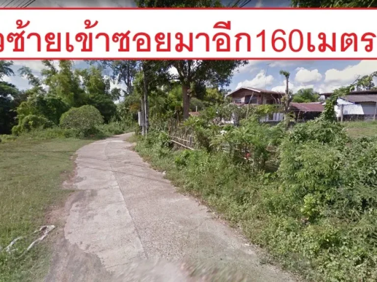 ขายที่ดิน อบตหนองเอี่ยน คำชะอี มุกดาหาร หน้ากว้าง15เมตร ห่างถนนหมายเลข12สมเด็จ-มุกดาหาร 160เมตร เหมาะทำที่อยู่อาศัย 100ตารางวา 2000ตรวา