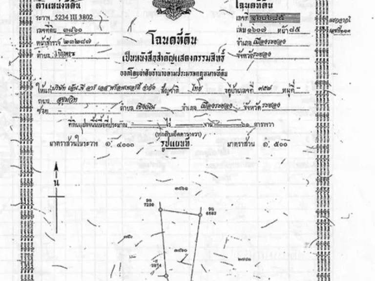 ขาย บ้านเดี่ยวชั้นเดียว ทรัพย์นลิน พื้นที่ 24367 ตรม 3นอน 4น้ำ อำเภอเมืองระยอง