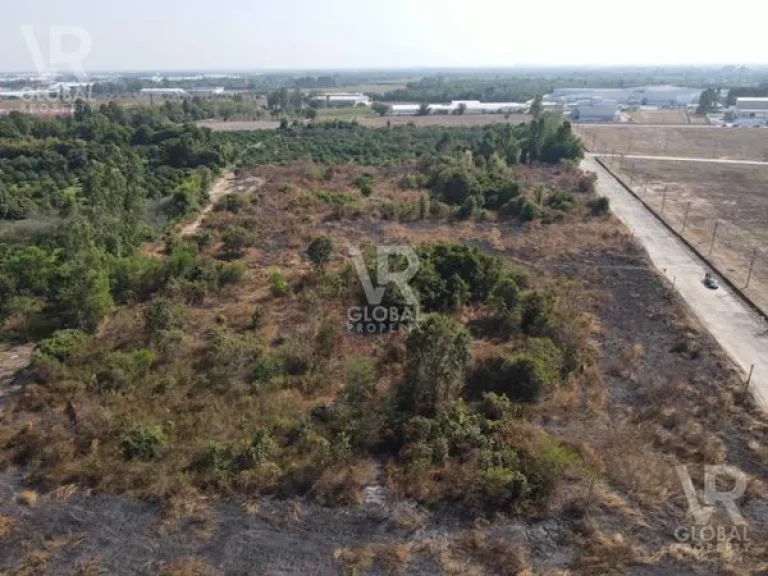 ขายที่ดินขนาดใหญ่ในจังหวัดปราจีนบุรี รวม 31-1-78 ไร่ เดิมเป็นสวนขนาดใหญ่