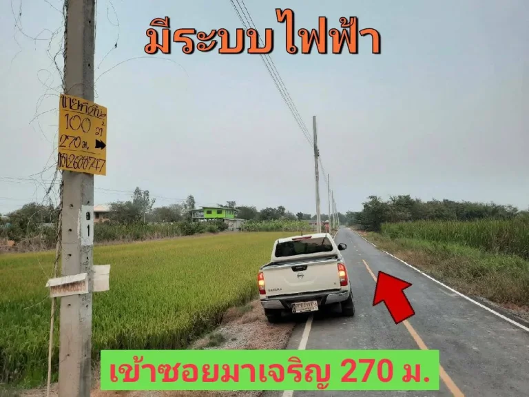 ขายที่ดินสร้างบ้านสวน 100 ตารางวา ติดถนนลาดยาง ตำบล หนองเพรางาย อำเภอไทรน้อย นนทบุรี