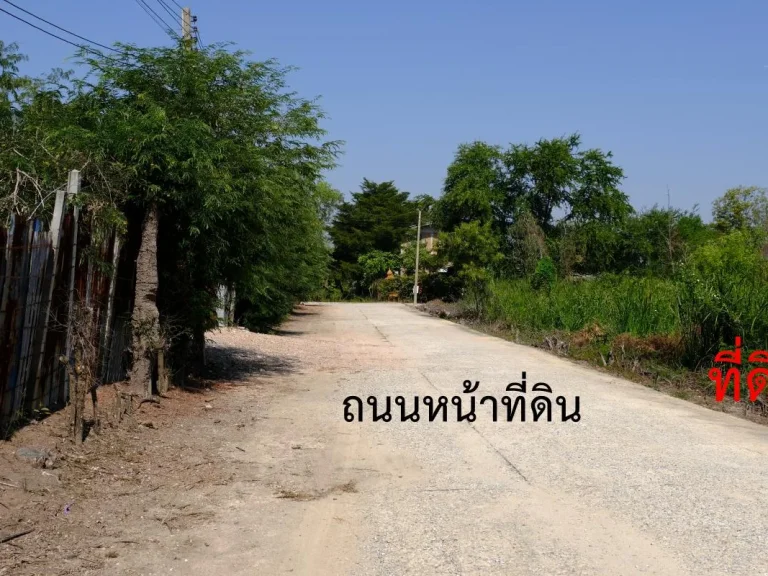 ขายที่ดิน อยู่ฝั่งตรงข้ามวัดไผ่โรงวัว ในพื้นที่ที่ดินจัดสรรของ ปิ่นทองแลนด์ 280 ตรว