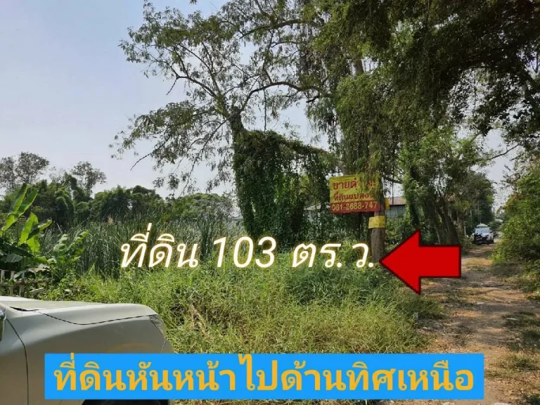 ขายที่ดินราคาถูก 103 ตารางวา ซอยพูลศรี ตำบลบางเดื่อ อำเภอ เมืองปทุมธานี