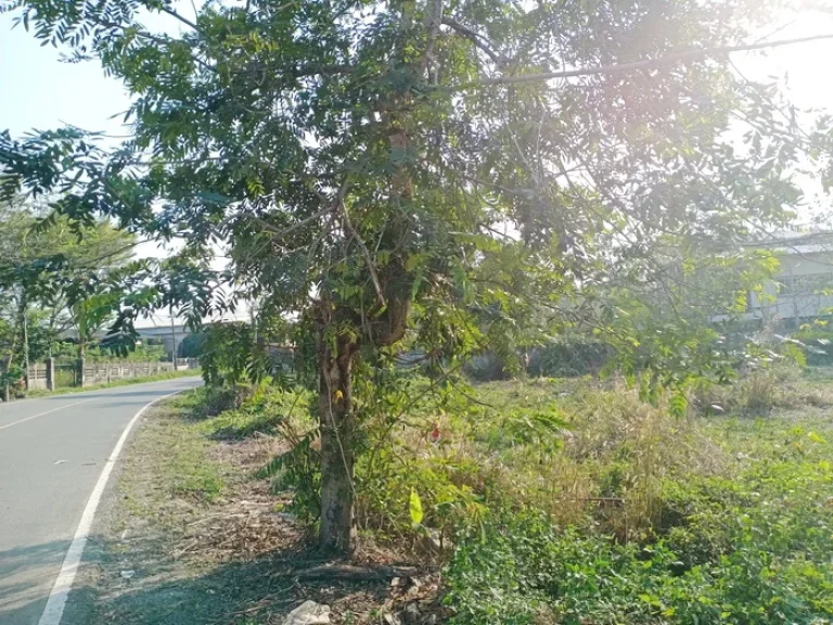 เสนอขายที่ดินเปล่าปรับถมเรียบร้อย ทำเลดี อยู่ห่างถนนสุขุมวิทเพียง 700 เมตร เนื้อที่ 5 ไร่ เขาวัว อำเภอท่าใหม่ จันทบุรี