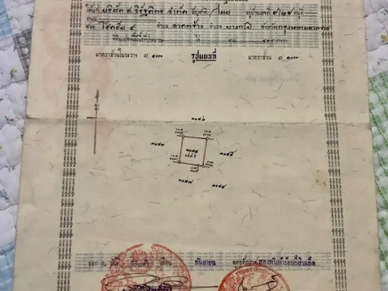 ขาย บ้านเดี่ยว 1 ชั้น จิรัฐติกร ซอย 8 แขวง จรเข้บัว เขต ลาดพร้าว กทม