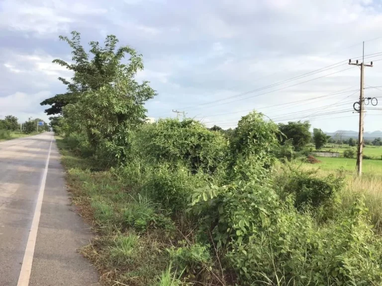 ขายที่ดินวิวทุ่งนา ภูเขา ติดคลองน้ำและทางหลวง อท่าลี่ เลย