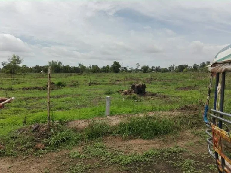 ตรงข้ามสนามกีฬาอุดรธานีเอฟซี ที่ดิน 33-1-554 THB25125000 ตสามพร้าว อเมือง จอุดรธานี