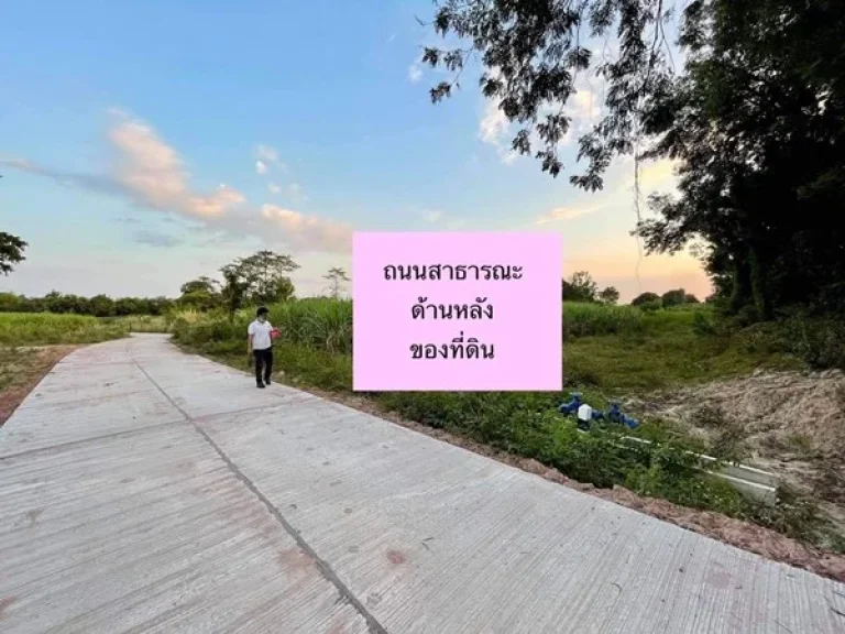 ที่ดินพร้อมสร้างบ้าน 250 ตรว ไฟฟ้ามี น้ำประปาพร้อม ชุมชนน่ารัก มีเพื่อนบ้าน บ้านโคกเจริญ หนองกุงศรี จกาฬสินธุ์