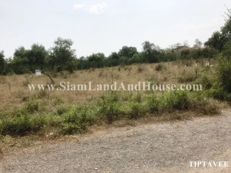 ขายที่ดินปทุมธานี 1 ไร่ 78 ตรว ลาดหลุมแก้ว ปทุมธานี Latlumkaeo LAND for SALE Pathumthani THAILAND