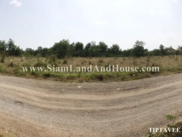 ขายที่ดินปทุมธานี 1 ไร่ 78 ตรว ลาดหลุมแก้ว ปทุมธานี Latlumkaeo LAND for SALE Pathumthani THAILAND