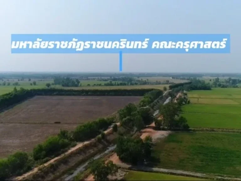 ขายที่ดินวิวทุ่งนา ใกล้ มหาลัยราชภัฏราชนครินทร์ คณะครุศาสตร์ ราชสาสน์ ฉะเชิงเทรา 52 ไร่ 3 งาน 49 ตรว