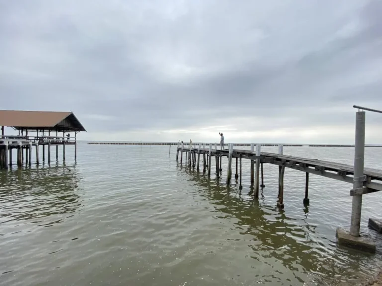 ขายที่ดิน บ้านพักริมทะเลอ่าวไทย เกือบถึง สมุทรสงคราม เหมาะทำบ้านพักตากอากาศหรือทำธุรกิจ