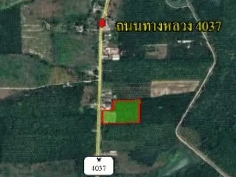 ต้องการขายที่ดิน 7 ไร่เศษ ติดถนน กบ4037 เหมาะบ้านที่พัก