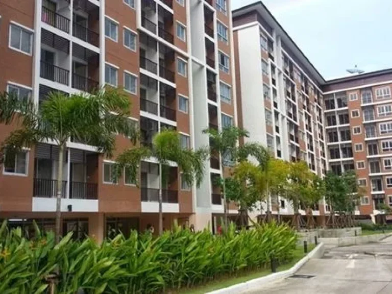 ขายให้เช่า B Condo บี คอนโด บางนา ห้องสตูดิโอ 30 ตรม ชั้น 5 วิวสระว่ายน้ำ