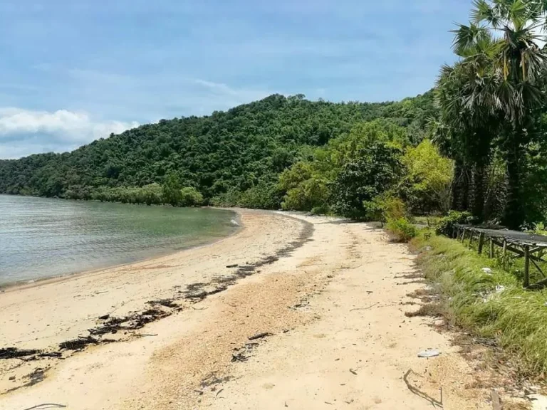 ขายด่วน ที่ดินติดทะเล เกาะยาวใหญ่ พังงา