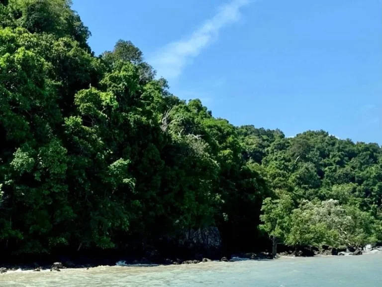 ขายด่วน ที่ดินติดทะเล เกาะยาวใหญ่ พังงา