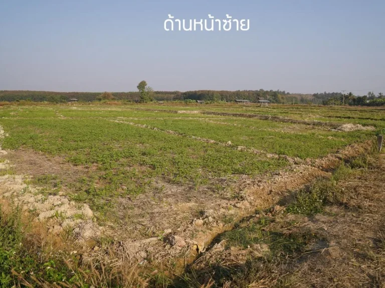 ที่นา บ้านน้ำแก่น จังหวัดน่าน 2-1-68 ไร่ ติดถนนดำ ไฟฟ้าถึง ไร่ละ125 ล้าน