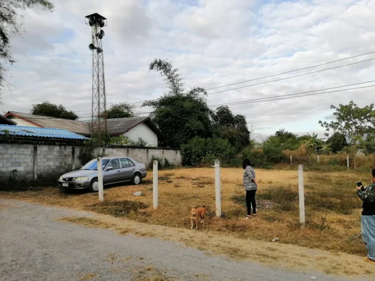 ขายที่ดินสำหรับสร้างบ้านใน อภูกระดึง จเลย โฉนด 1 งาน 15 ตรว ขายเพียง 190000 บาท