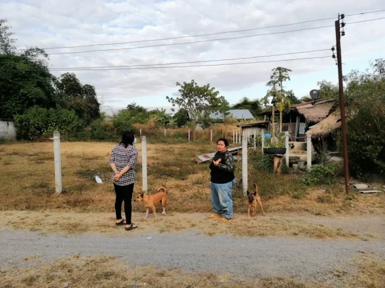 ขายที่ดินสำหรับสร้างบ้านใน อภูกระดึง จเลย โฉนด 1 งาน 15 ตรว ขายเพียง 190000 บาท