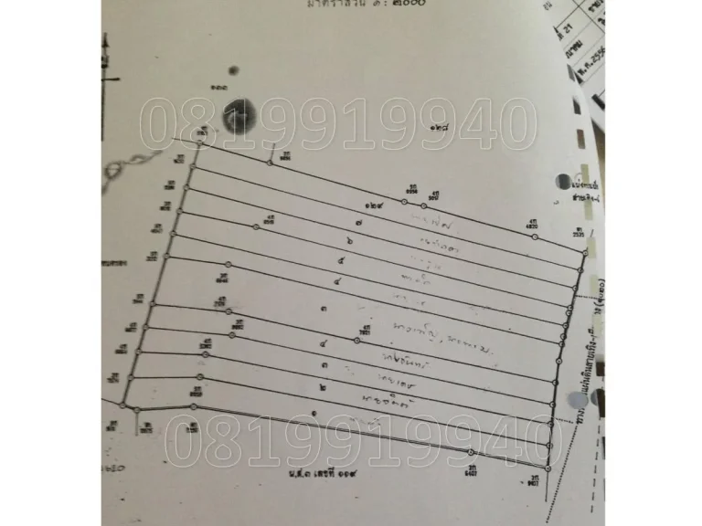 ขายที่ดินอำเภอเชียงของ ห่างจากศูนย์ราชการใหม่เพียง 2 กิโลเมตร 