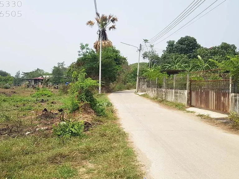 ขายที่ดิน 30ตรว ทับกวาง แก่งคอย สระบุรี ติดถนนคอนกรีต ทำเลดี เหมาะปลูกบ้าน ค้าขายได้ ขายราคาถูก