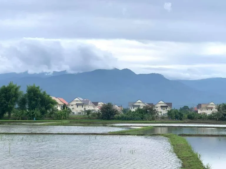 ขายที่ดินหน้ามหาวิทยาลัยแม่โจ้ วิวทุ่งนา ค้าขายได้