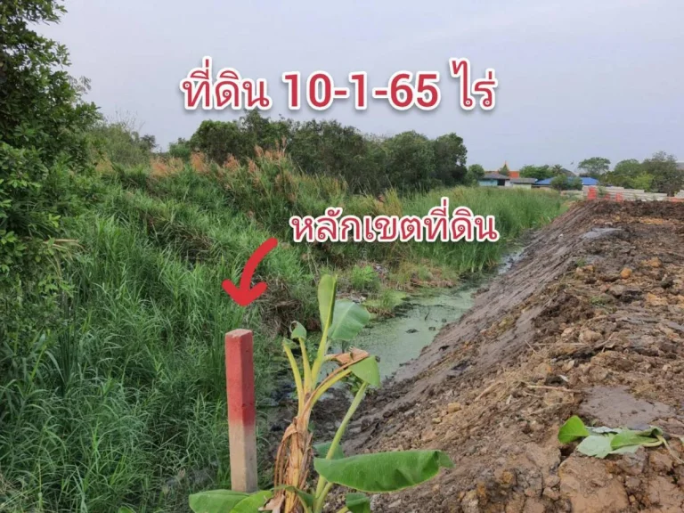 ขายที่ดินใกล้วงแหวนกาญจนาภิเษก 10-1-65 ไร่ ติดถนนคอนกรีตสาธารณะกว้าง 8 เมตร อำเภอสามโคก จังหวัดปทุมธานี