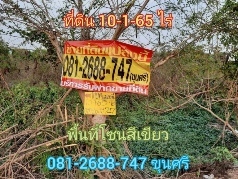 ขายที่ดินใกล้วงแหวนกาญจนาภิเษก 10-1-65 ไร่ ติดถนนคอนกรีตสาธารณะกว้าง 8 เมตร อำเภอสามโคก จังหวัดปทุมธานี