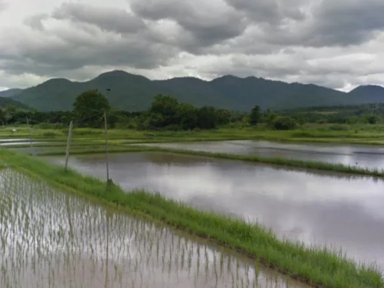 ขายด่วนที่นาราคาถูก ติดถนนคอนกรีต วิวขุนเขารอบทิศ