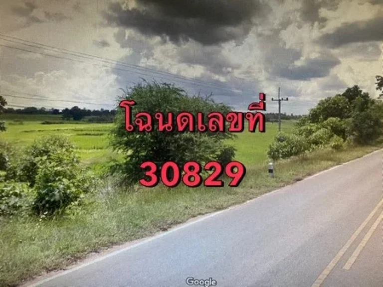 ขายที่ดินเปล่า ติดถนนหมายเลข 2069 จังหวัดชัยภูมิ เนื้อที่ 64 ไร่ 1 งาน 72 ตารางวา