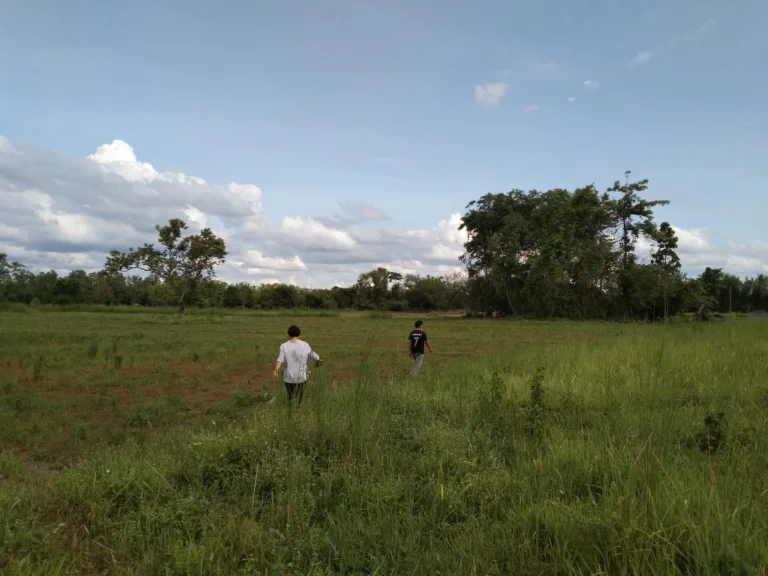 ขายที่ดิน ติดถนน ติดลำเหมือง เหมาะสำรับทำการเกษตร หรือว่าบ้านสวน บ้านจัดสรร ใกล้ชุมชน บ้านศรีวังธาร ตป่าไผ่ อสันทราย จเชียงใหม่