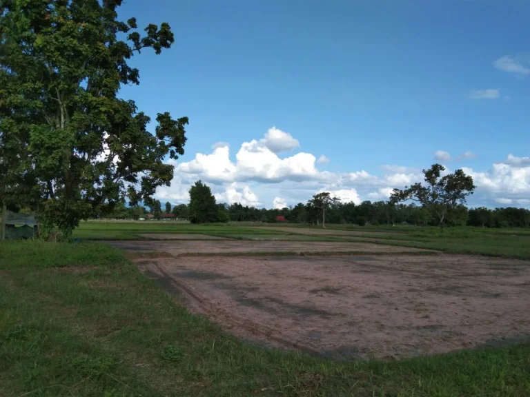 ขายที่ดิน ติดถนน ติดลำเหมือง เหมาะสำรับทำการเกษตร หรือว่าบ้านสวน บ้านจัดสรร ใกล้ชุมชน บ้านศรีวังธาร ตป่าไผ่ อสันทราย จเชียงใหม่