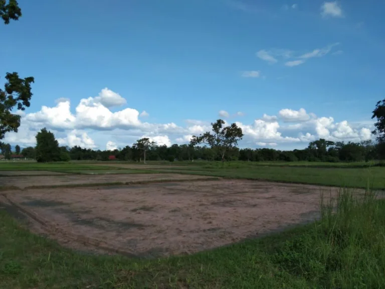 ขายที่ดิน ติดถนน ติดลำเหมือง เหมาะสำรับทำการเกษตร หรือว่าบ้านสวน บ้านจัดสรร ใกล้ชุมชน บ้านศรีวังธาร ตป่าไผ่ อสันทราย จเชียงใหม่