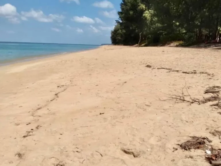 ขายที่ดินติดทะเล หาดไม้ขาว ภูเก็ต