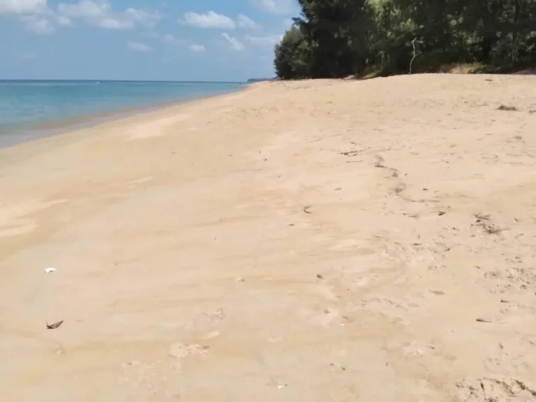 ขายที่ดินติดทะเล หาดไม้ขาว ภูเก็ต