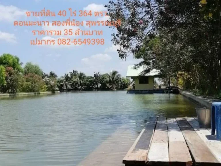 ขายที่ดินพร้อมสวนเกษตร โกดัง และ บ้านพัก พท 40 ไร่ 364 ตรวอยู่ดอนมะนาว สุพรรณบุรี