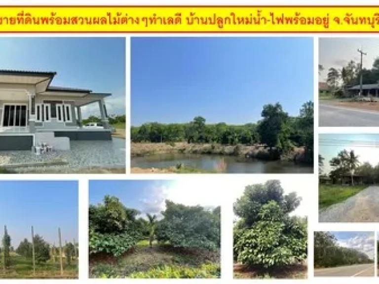 ขายที่ดินพร้อมสวนผลไม้ต่างๆทำเลดี บ้านปลูกใหม่น้ำ-ไฟพร้อมอยู่ จจันทบุรี