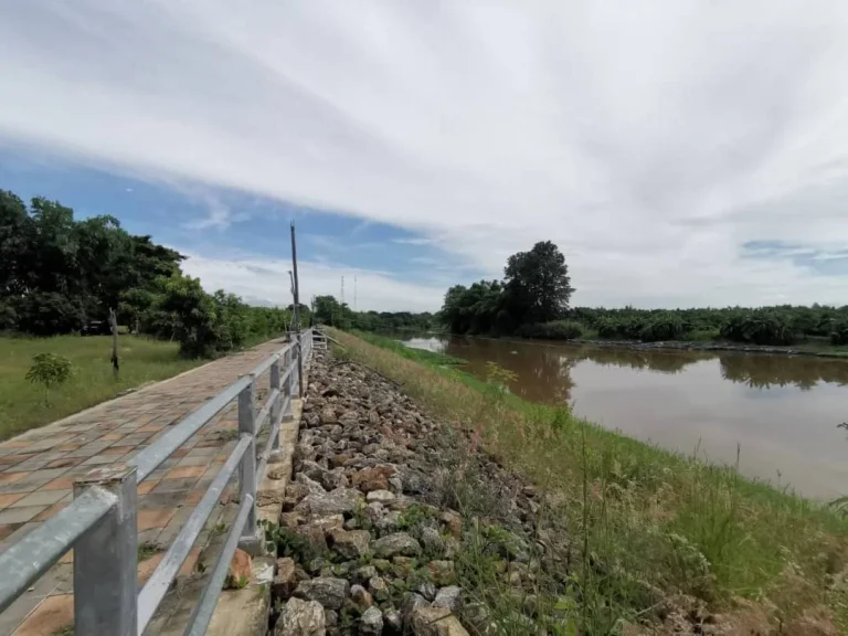 ขายที่ดินติดแม่น้ำปิงหน้ากว้าง 100 เมตร จอมทอง ราคาถูก