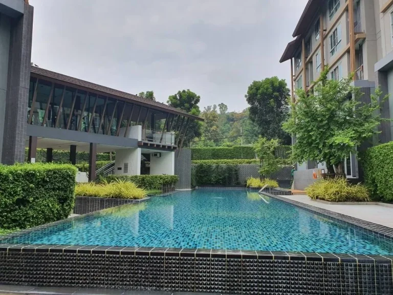 ขาย D condo campus resort Chiang Mai คอนโดหลังมหาวิทยาลัยเชียงใหม่ ราคา 18 ล้านบาทเท่านั้น วิวสวน