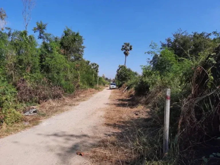 ขายที่ดิน 4 ไร่ จังหวัด ปทุมธานี ใกล้แม้น้ำเจ้าพระยาติดถนน