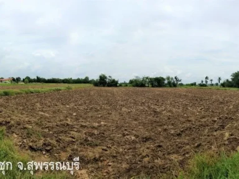 ขายที่ดินสามชุก เกือบ10ไร่ หนองผักนาก สุพรรณบุรี