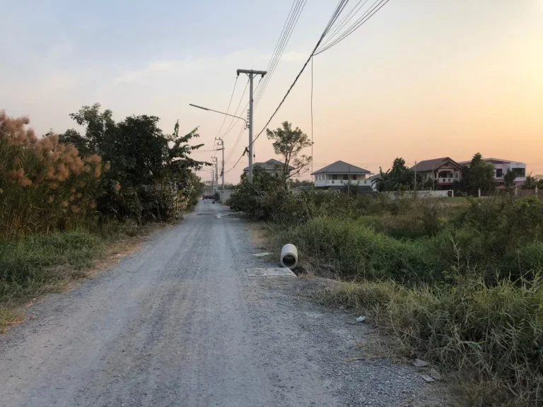 ขายด่วน ที่จัดสรร สวย 100 ตรว ปทุมธานี